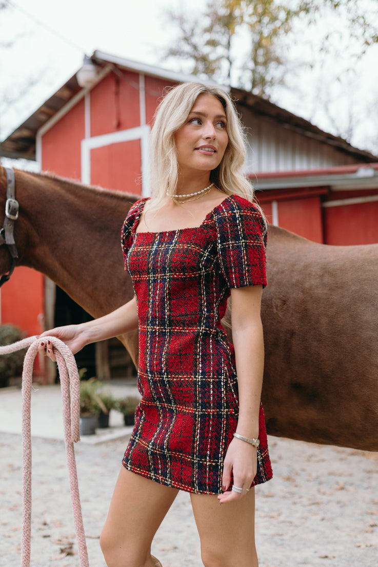 Holiday Spirit Dress