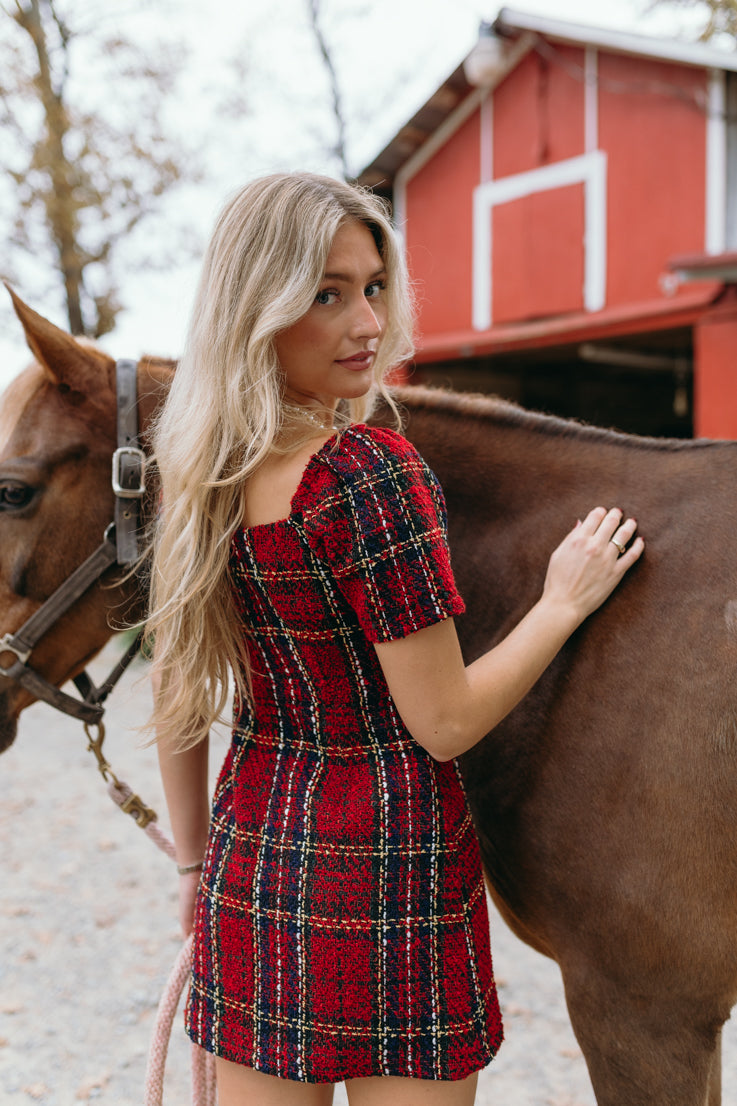 Holiday Spirit Dress