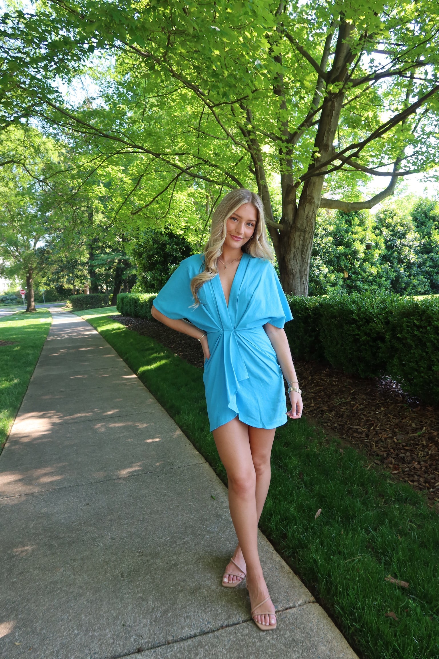 Belize Mini Dress