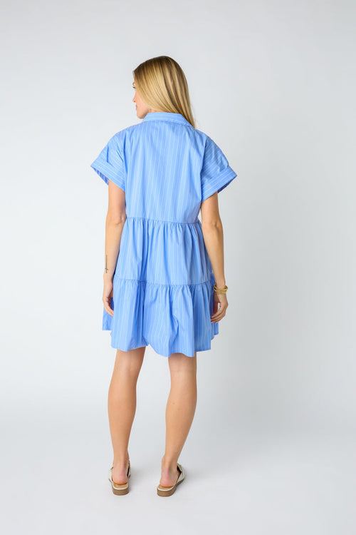 Bradley Mini Dress