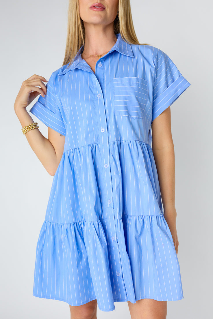 Bradley Mini Dress