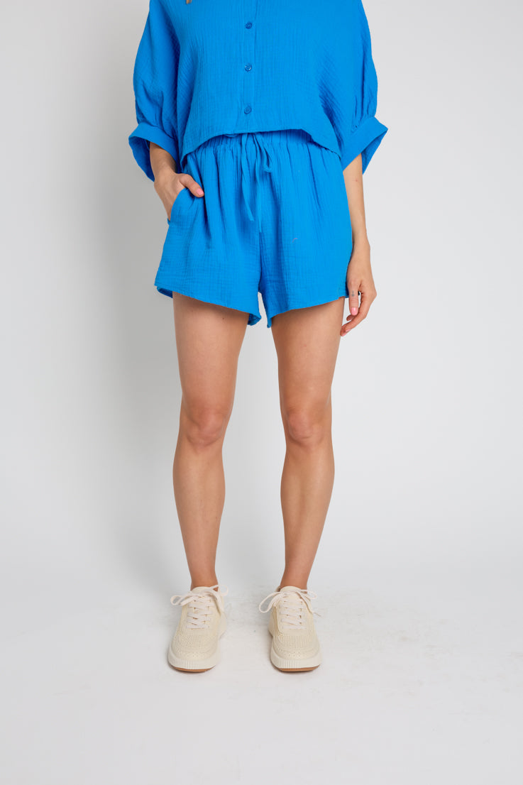 Port City Shorts