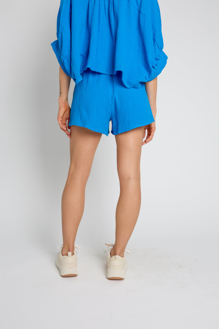 Port City Shorts