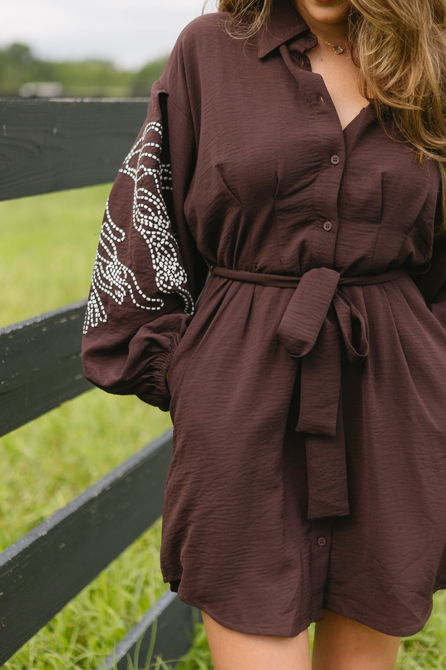 Autumn Berry Dress