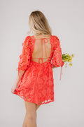 Quinlan Dress