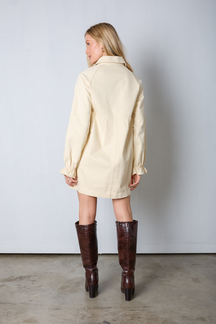 Cream and Sugar Denim Dress
