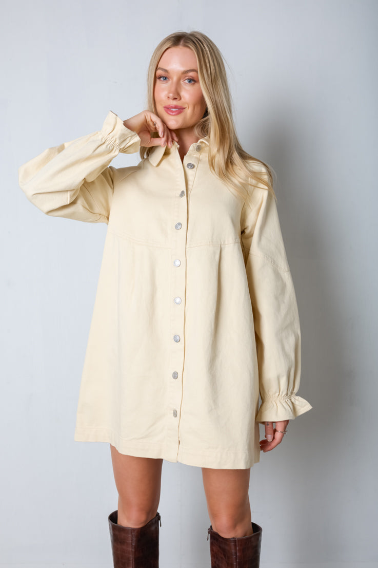Cream and Sugar Denim Dress