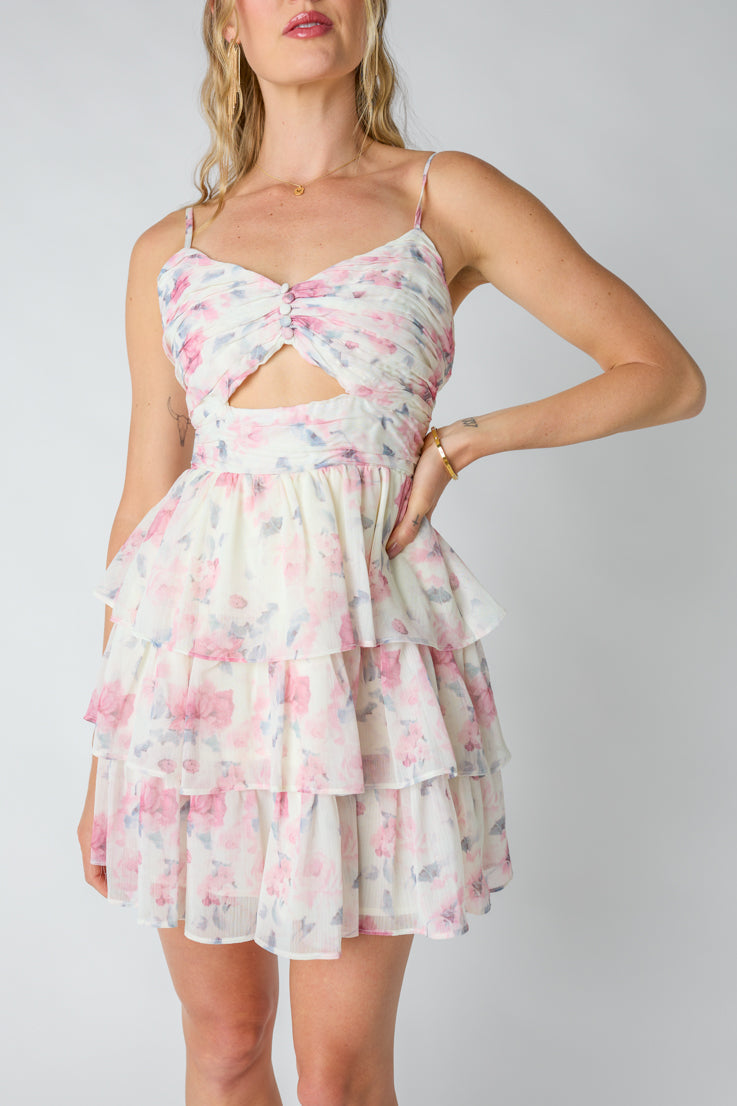 Blushing Beauty Mini Dress