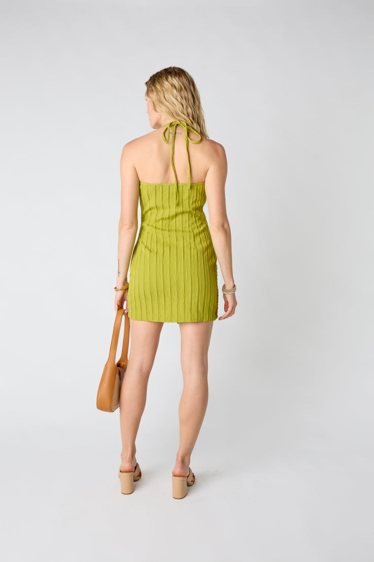 Jackson Mini Dress