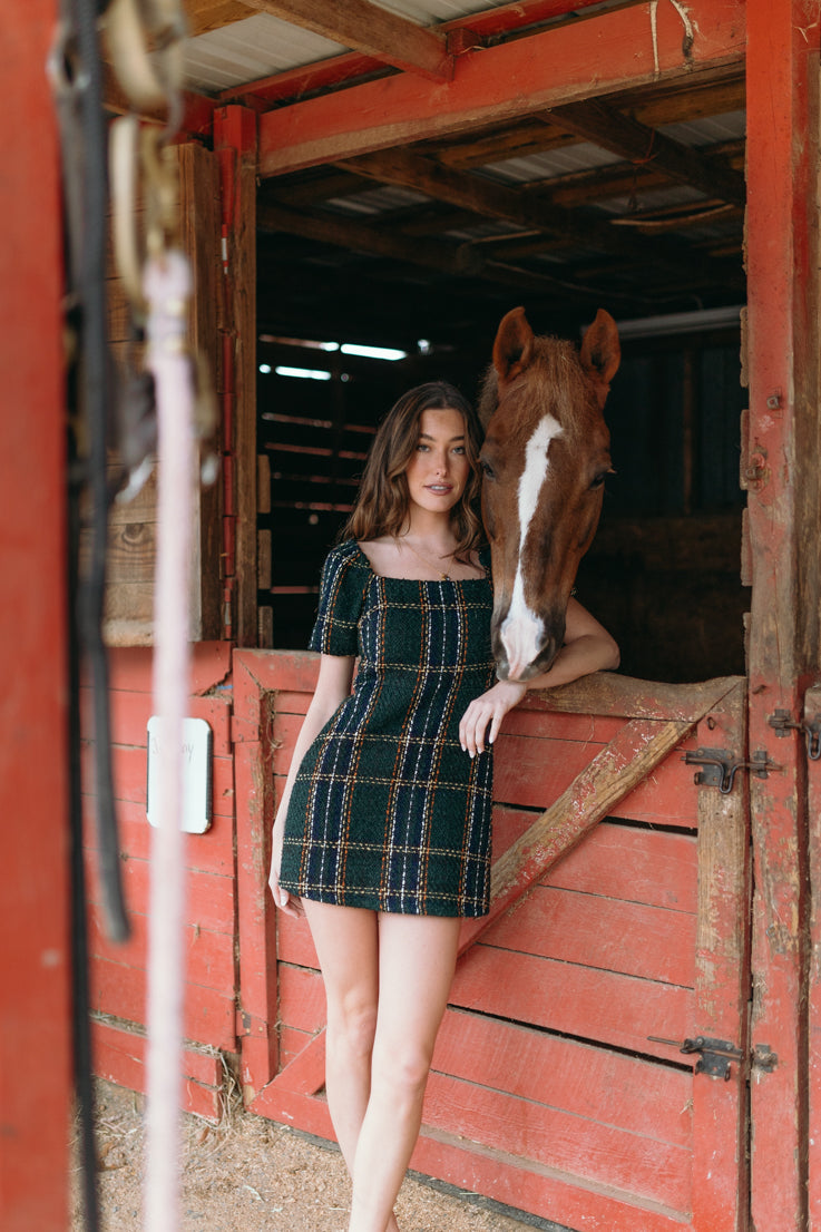 Holiday Spirit Dress