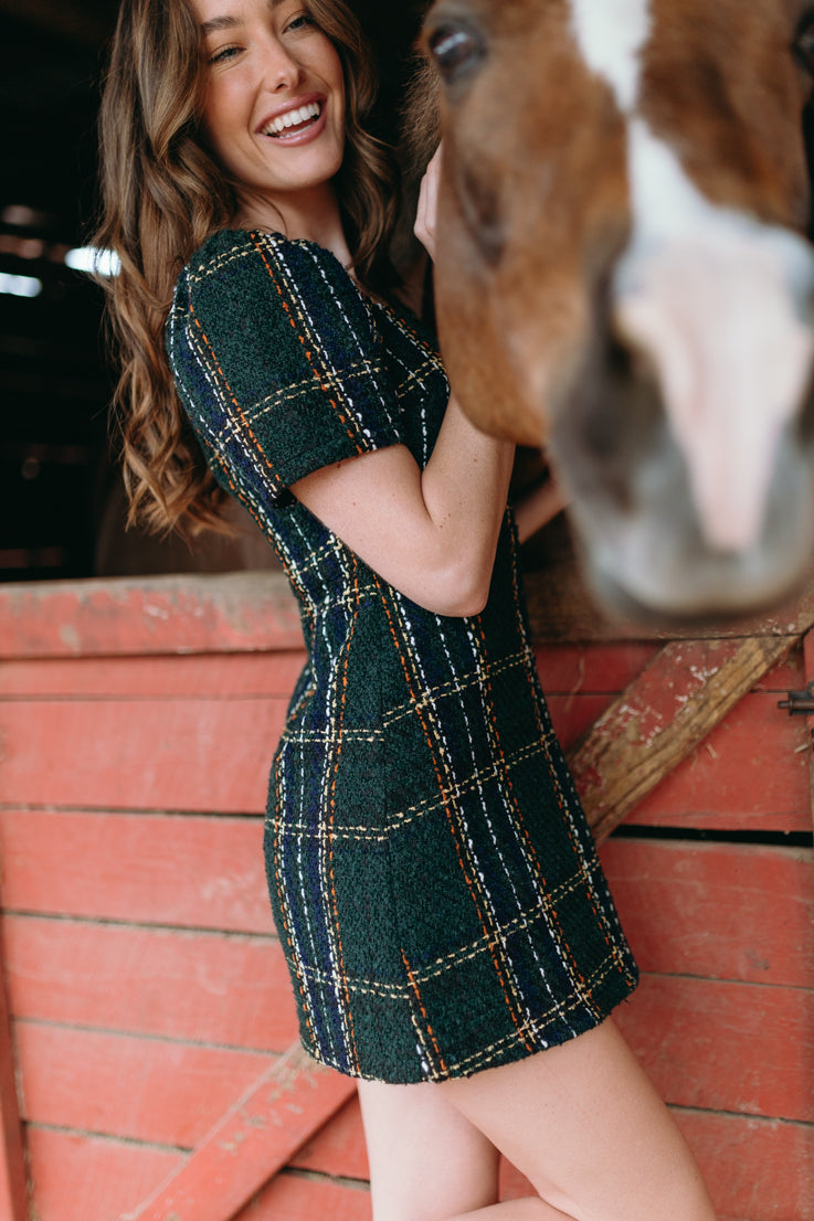Holiday Spirit Dress