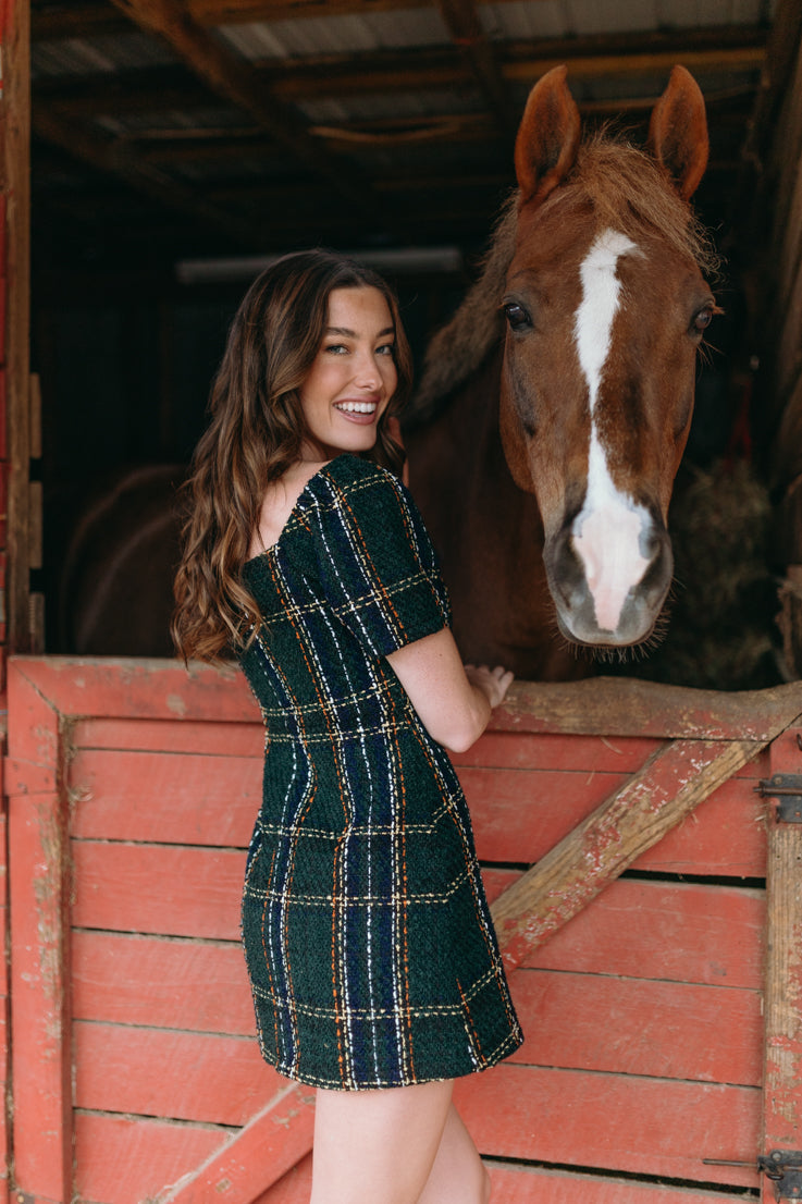 Holiday Spirit Dress