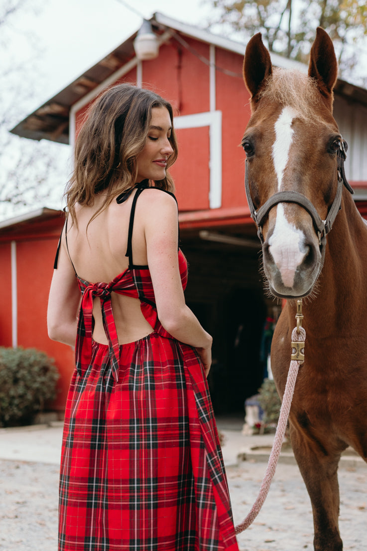 What A Sleigh Dress