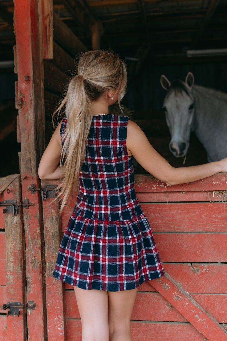 Merry Little Christmas Dress