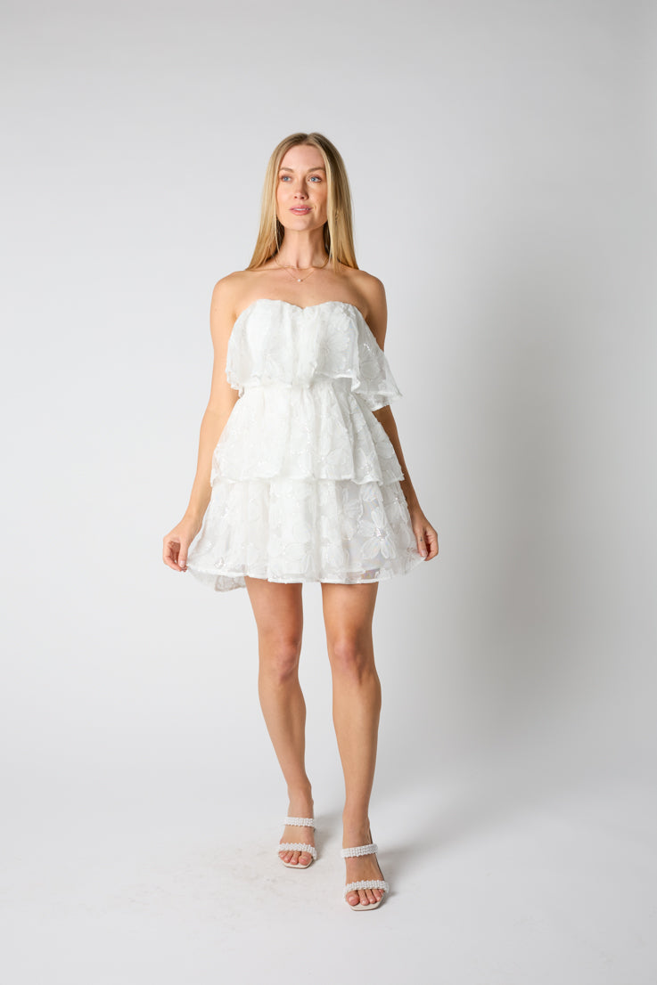 Chantilly Mini Dress