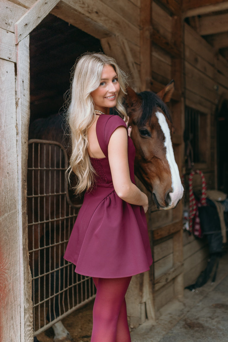 Winter Wishes Dress